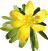 Chorale ERANTHIS